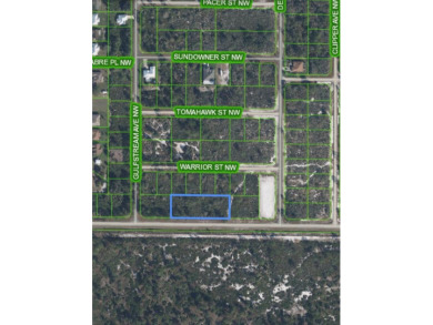 4 LOTS SIDE BY SIDE FOR A TOTAL 0.92 ACRES! Located in Placid on Placid Lakes Country Club in Florida - for sale on GolfHomes.com, golf home, golf lot