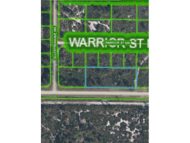 4 LOTS SIDE BY SIDE FOR A TOTAL 0.92 ACRES! Located in Placid on Placid Lakes Country Club in Florida - for sale on GolfHomes.com, golf home, golf lot