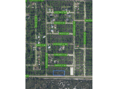 4 LOTS SIDE BY SIDE FOR A TOTAL 0.92 ACRES! Located in Placid on Placid Lakes Country Club in Florida - for sale on GolfHomes.com, golf home, golf lot