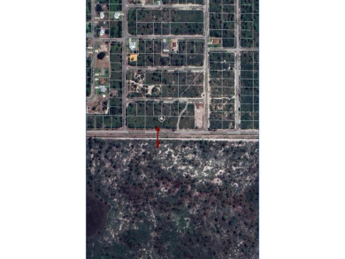 4 LOTS SIDE BY SIDE FOR A TOTAL 0.92 ACRES! Located in Placid on Placid Lakes Country Club in Florida - for sale on GolfHomes.com, golf home, golf lot