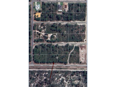 4 LOTS SIDE BY SIDE FOR A TOTAL 0.92 ACRES! Located in Placid on Placid Lakes Country Club in Florida - for sale on GolfHomes.com, golf home, golf lot