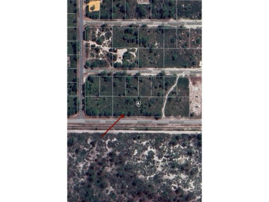 4 LOTS SIDE BY SIDE FOR A TOTAL 0.92 ACRES! Located in Placid on Placid Lakes Country Club in Florida - for sale on GolfHomes.com, golf home, golf lot