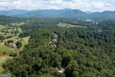 Experience the beauty of this picturesque 1.33-acre lot with on Chatuge Shores Golf Course in North Carolina - for sale on GolfHomes.com, golf home, golf lot