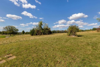 Location, location, location!  Coveted Greenview Aspen Home on Eagle Ridge Inn and Resort in Illinois - for sale on GolfHomes.com, golf home, golf lot