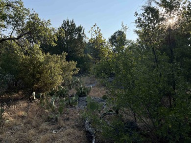 If you are looking for views and an R-6 lot...this is it on Slick Rock Golf Course - Horseshoe Bay in Texas - for sale on GolfHomes.com, golf home, golf lot