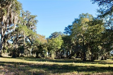 Build your coastal retreat on this spacious lot located inside a on Sapelo Hammock Golf Club in Georgia - for sale on GolfHomes.com, golf home, golf lot