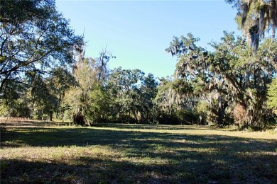 Build your coastal retreat on this spacious lot located inside a on Sapelo Hammock Golf Club in Georgia - for sale on GolfHomes.com, golf home, golf lot