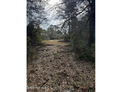 Beautiful 1/3-acre lot on the pond overlooking the fairway on #9 on Brunswick Plantation and Golf Resorts in North Carolina - for sale on GolfHomes.com, golf home, golf lot