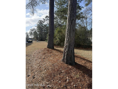 Beautiful 1/3-acre lot on the pond overlooking the fairway on #9 on Brunswick Plantation and Golf Resorts in North Carolina - for sale on GolfHomes.com, golf home, golf lot