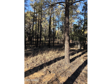 Gorgeous lot in a quiet cul-de-sac in the Trailhead section of on Torreon Golf Club in Arizona - for sale on GolfHomes.com, golf home, golf lot