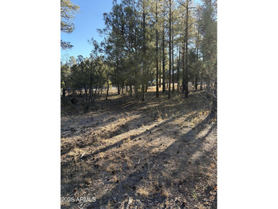 Gorgeous lot in a quiet cul-de-sac in the Trailhead section of on Torreon Golf Club in Arizona - for sale on GolfHomes.com, golf home, golf lot