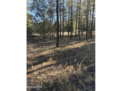 Gorgeous lot in a quiet cul-de-sac in the Trailhead section of on Torreon Golf Club in Arizona - for sale on GolfHomes.com, golf home, golf lot