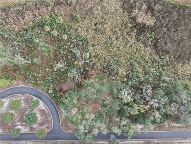 Discover the perfect setting for your dream home on this on The Golf Club At Sanctuary Cove in Georgia - for sale on GolfHomes.com, golf home, golf lot