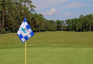 Discover the epitome of coastal living in this exclusive gated on The Club At Osprey Cove in Georgia - for sale on GolfHomes.com, golf home, golf lot