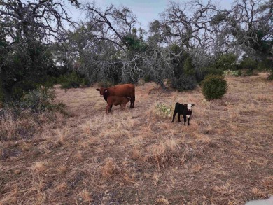 Affordable building site for your dream home in coveted on Slick Rock Golf Course - Horseshoe Bay in Texas - for sale on GolfHomes.com, golf home, golf lot