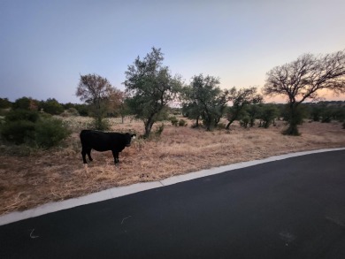 Affordable building site for your dream home in coveted on Slick Rock Golf Course - Horseshoe Bay in Texas - for sale on GolfHomes.com, golf home, golf lot