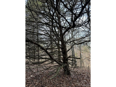 Located near the scenic Franklin County Country Club golf course on Franklin County Country Club  in Missouri - for sale on GolfHomes.com, golf home, golf lot