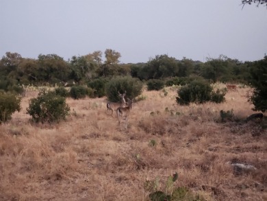 Affordable building site for your dream home in coveted on Slick Rock Golf Course - Horseshoe Bay in Texas - for sale on GolfHomes.com, golf home, golf lot