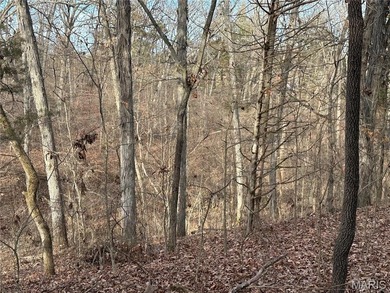 Located near the scenic Franklin County Country Club golf course on Franklin County Country Club  in Missouri - for sale on GolfHomes.com, golf home, golf lot