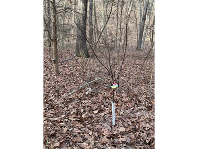 Located near the scenic Franklin County Country Club golf course on Franklin County Country Club  in Missouri - for sale on GolfHomes.com, golf home, golf lot