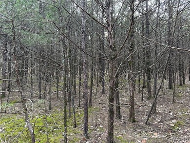 Located near the scenic Franklin County Country Club golf course on Franklin County Country Club  in Missouri - for sale on GolfHomes.com, golf home, golf lot