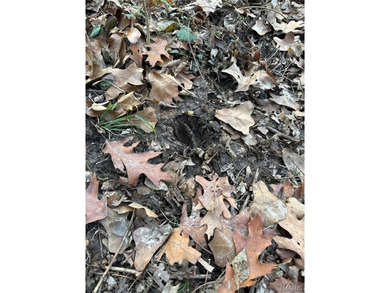 Located near the scenic Franklin County Country Club golf course on Franklin County Country Club  in Missouri - for sale on GolfHomes.com, golf home, golf lot