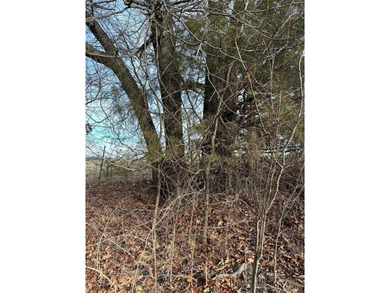 Located near the scenic Franklin County Country Club golf course on Franklin County Country Club  in Missouri - for sale on GolfHomes.com, golf home, golf lot