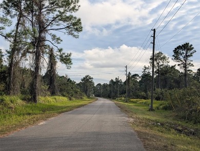 Build Your Dream Home in Sun 'N Lake of Sebring! Discover an on Sun n Lake Golf and Country Club in Florida - for sale on GolfHomes.com, golf home, golf lot