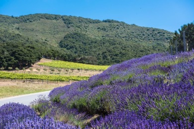 Offering exceptional value in Carmel Valley Ranch.  This on Carmel Valley Ranch Golf Course in California - for sale on GolfHomes.com, golf home, golf lot