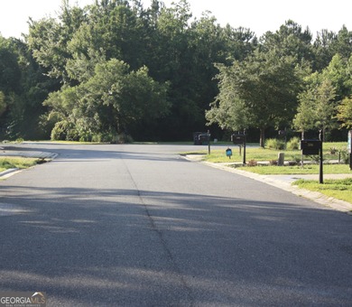Welcome to Lot 504 on Holm Place, a prime homesite nestled in on The Club At Osprey Cove in Georgia - for sale on GolfHomes.com, golf home, golf lot