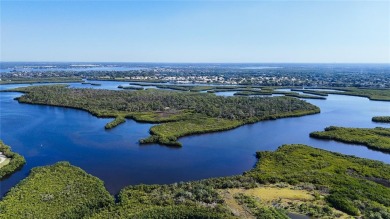 WELL KEPT CHARIOT MOBILE HOME IN ACTIVE 55+ COMMUNITY! One on River Run Golf Links in Florida - for sale on GolfHomes.com, golf home, golf lot