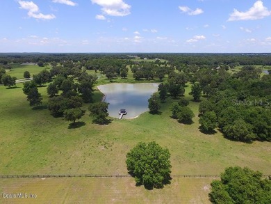 Prime 28.42 +/- acres in great NW location steps from new World on Golden Hills Golf & Turf Club in Florida - for sale on GolfHomes.com, golf home, golf lot