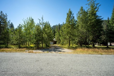 Your own private paradise! This 2012 custom-built Priest Lake on Priest Lake Golf and Tennis Club in Idaho - for sale on GolfHomes.com, golf home, golf lot