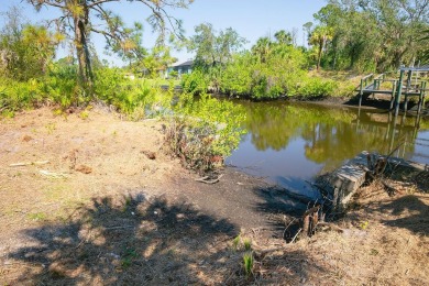 Seize the opportunity to own a prime .46-acre waterfront lot on Sabal Trace Golf and Country Club in Florida - for sale on GolfHomes.com, golf home, golf lot