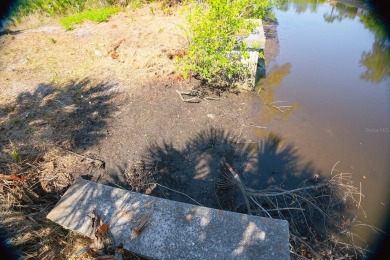 Seize the opportunity to own a prime .46-acre waterfront lot on Sabal Trace Golf and Country Club in Florida - for sale on GolfHomes.com, golf home, golf lot
