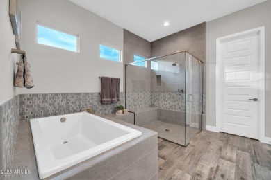 WELCOME TO THIS BEAUTIFUL CONTEMPORARY CORDOBA MODEL HOME AT on Vista Verde Golf Course in Arizona - for sale on GolfHomes.com, golf home, golf lot