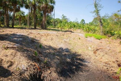 Seize the opportunity to own a prime .46-acre waterfront lot on Sabal Trace Golf and Country Club in Florida - for sale on GolfHomes.com, golf home, golf lot