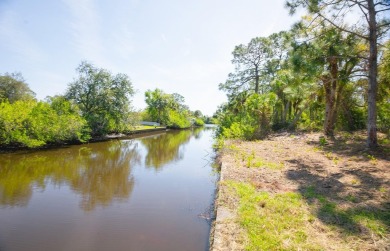 Seize the opportunity to own a prime .46-acre waterfront lot on Sabal Trace Golf and Country Club in Florida - for sale on GolfHomes.com, golf home, golf lot