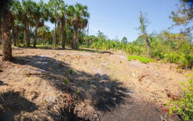 Seize the opportunity to own a prime .46-acre waterfront lot on Sabal Trace Golf and Country Club in Florida - for sale on GolfHomes.com, golf home, golf lot