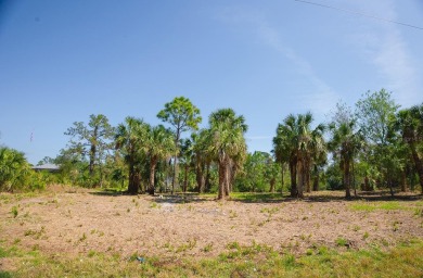 Seize the opportunity to own a prime .46-acre waterfront lot on Sabal Trace Golf and Country Club in Florida - for sale on GolfHomes.com, golf home, golf lot