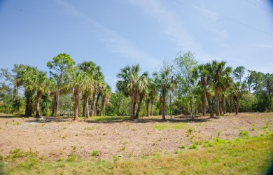 Seize the opportunity to own a prime .46-acre waterfront lot on Sabal Trace Golf and Country Club in Florida - for sale on GolfHomes.com, golf home, golf lot