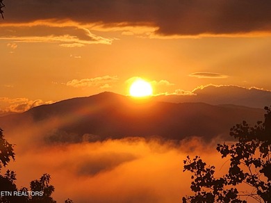 Nestled in the exclusive Laurel Valley gated community, you'll on Laurel Valley Golf Course in Tennessee - for sale on GolfHomes.com, golf home, golf lot