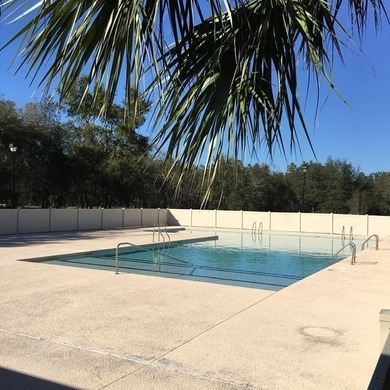 Paved roads, signage, boat storage, boat dock, 2 swimming pools on Sapelo Hammock Golf Club in Georgia - for sale on GolfHomes.com, golf home, golf lot