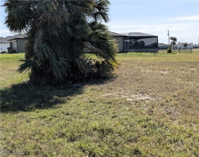 It's all about Crystal Lake Park in this neighborhood. Cape on Burnt Store Golf Club in Florida - for sale on GolfHomes.com, golf home, golf lot
