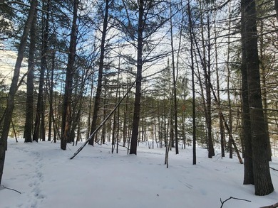 Exceptional lot in sought-after Timber Ridge Golf Course on Timber Ridge Golf Club in Wisconsin - for sale on GolfHomes.com, golf home, golf lot