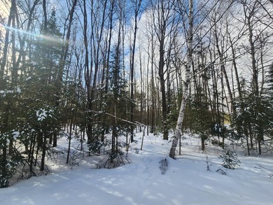 Exceptional lot in sought-after Timber Ridge Golf Course on Timber Ridge Golf Club in Wisconsin - for sale on GolfHomes.com, golf home, golf lot