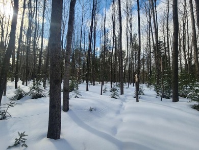 Exceptional lot in sought-after Timber Ridge Golf Course on Timber Ridge Golf Club in Wisconsin - for sale on GolfHomes.com, golf home, golf lot