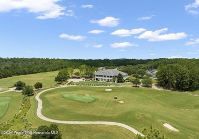 Welcome to the beautiful Southern Hills Plantation, one of on Southern Hills Plantation Club in Florida - for sale on GolfHomes.com, golf home, golf lot