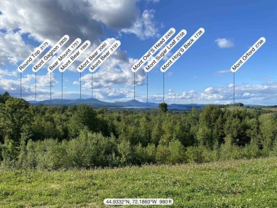 This 41-acre plot of land, situated in Derby (13.2A) and Newport on  in Vermont - for sale on GolfHomes.com, golf home, golf lot