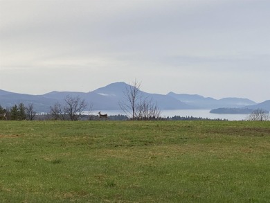 This 41-acre plot of land, situated in Derby (13.2A) and Newport on  in Vermont - for sale on GolfHomes.com, golf home, golf lot